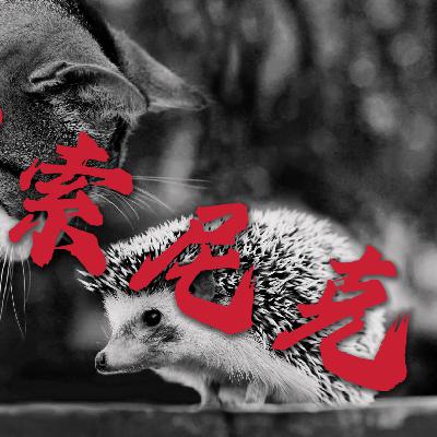 刺猬索尼克（下）