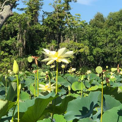 Oración a la Madre Tierra