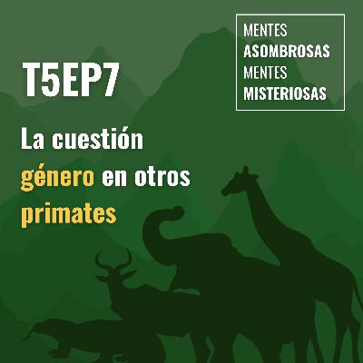 T5Ep7 La cuestión de genero en otros primates