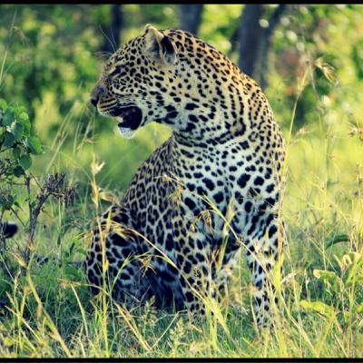 A Unique Zoo with Amazing Animal Encounters