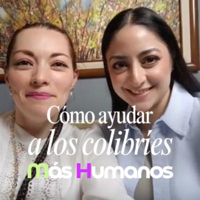 Cómo ayudar a los colibríes | Más Humanos Podcast Cómo ayudar a los colibríes | Más Humanos Podcast