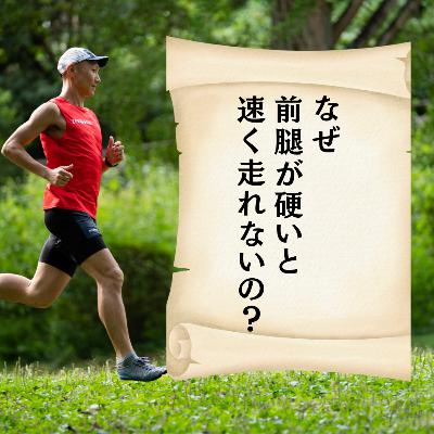 なぜ、前腿が硬いと速く走れないのか? なぜ、前腿が硬いと速く走れないのか?