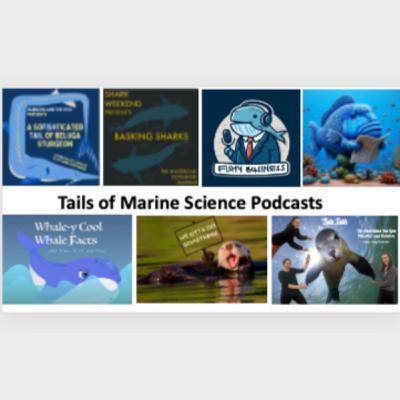 ES252 Marine Ecology & Conservation TAILS OF MARINE SCIENCE - Endangered Marine Species Podcasts - Fall 2023