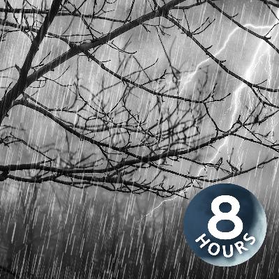 Heavy Rain & Big Thunder! | 8 Hours Best Thunderstorm Ambience to Sleep & Relax