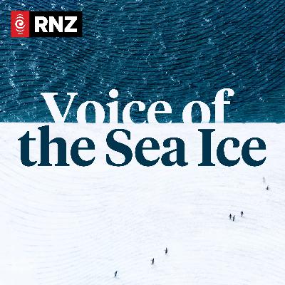 Introducing: Voice of the Sea Ice