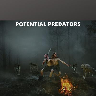 Potential Predators Part 1