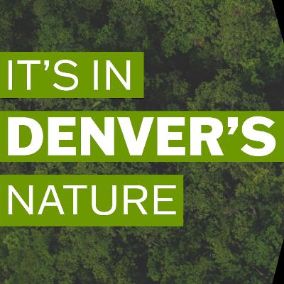 A More Resilient Future