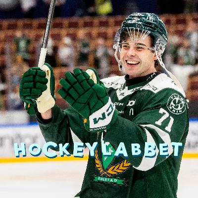 Hockeylabbet HC Hockeylabbet HC