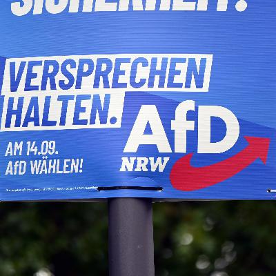 Kommunalwahl NRW - Politologe: Erstarkte AfD macht kaum Kommunalpolitik