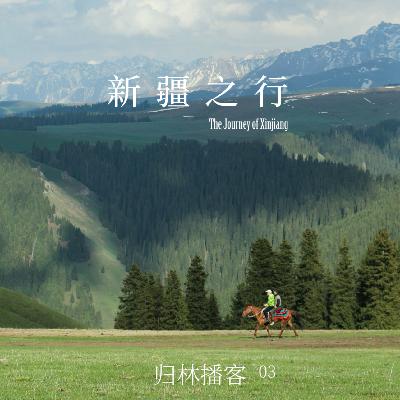 Vol.03｜穿过草原、峡谷、森林，在新疆旷野中感受万物生命力