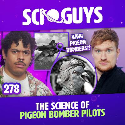 278: Pigeon Bomber Pilots