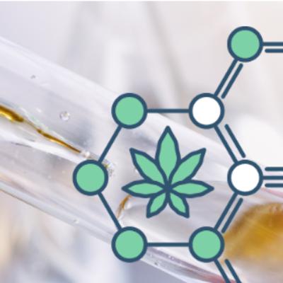 The Rise of Minor Cannabinoids Sets New Market Trends The Rise of Minor Cannabinoids Sets New Market Trends