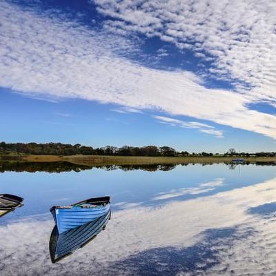Effort to safeguard Lough Carra ecosystem