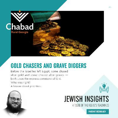 BESHALACH: GOLD CHASERS AND GRAVE DIGGERS With Rabbi Chaim Markovits - S2 E15 - Jewish Insights