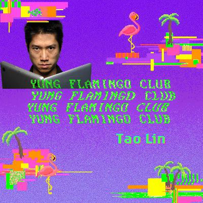 Yung Flamingo Club: Tao Lin