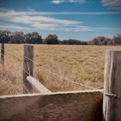 PCC 38 - Utilizando cercas para manejar nuestro impacto ambiental