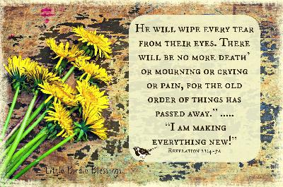 Give Yourself Grace and Time