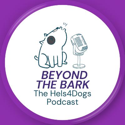 Introducing Beyond the Bark the Hels4Dogs Pod