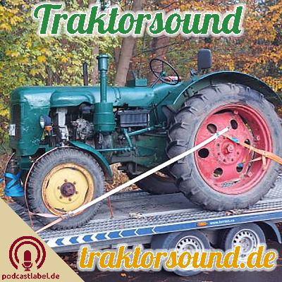 TS: #17 - Famulus RS14/36L TS: #17 - Famulus RS14/36L