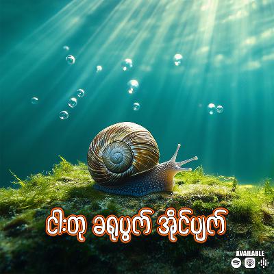 "ငါးတု ခရုပွက် အိုင်ပျက်"