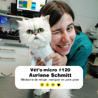 Épisode #120 - Auriane Schmitt : Médecine de refuge : naviguer en zone grise