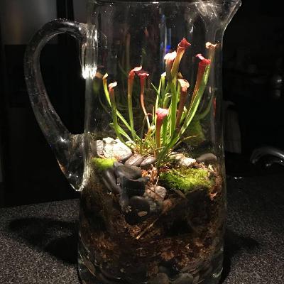 Interview about The Happy Prince