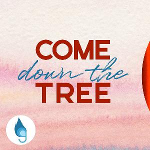 Come Down the Tree