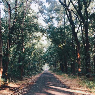 Mind-Body Connection