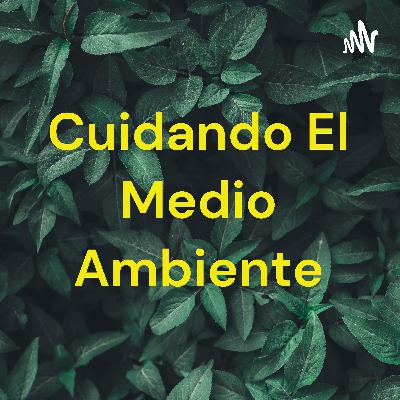 Tomemos conciencia del medio ambiente