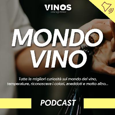 Quanto Vino si può Bere