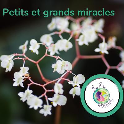 Petits et grands miracles
