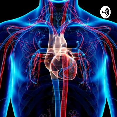 Sistema Cardiovascular Sistema Cardiovascular
