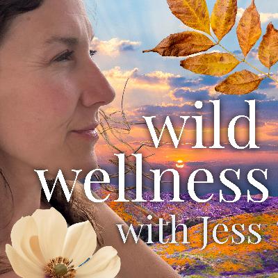 275. Discipline ≠ Devotion: my consistent daily intuition practice, why you don’t need one, and how you don’t have to try so hard because Love speaks anyway 275. Discipline ≠ Devotion: my consistent daily intuition practice, why you don’t need one, and how you don’t have to try so hard because Love speaks anyway