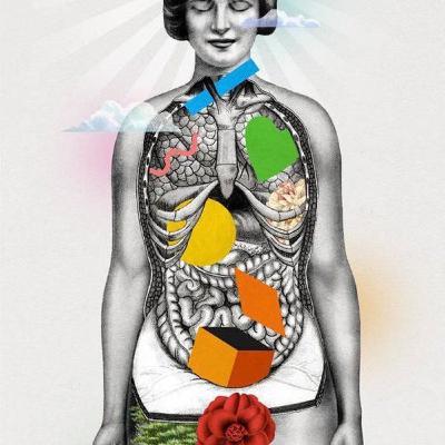 ¿Conoces el camino a la plenitud? ¿Conoces el camino a la plenitud?