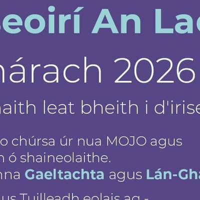 Conall Ó Máirtín, Eagarthóir Oideachais TG4 agus TG4 Foghlaim.