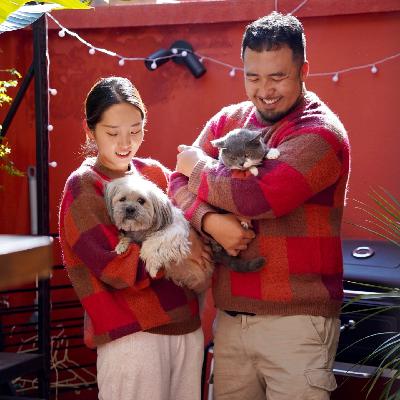 10. 北漂九年后，他花50万在昆明买下小院子、重启人生