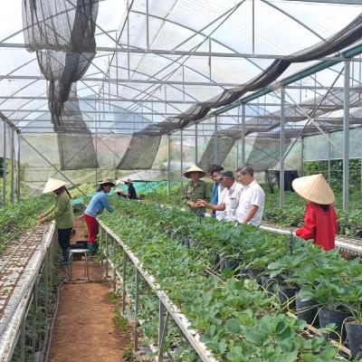 Xã hội chuyển động - Không ai bị bỏ lại phía sau – hướng tới công bằng trong tiếp cận an sinh