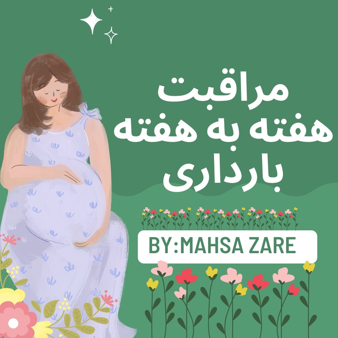 هفته هشتم بارداری(۸)