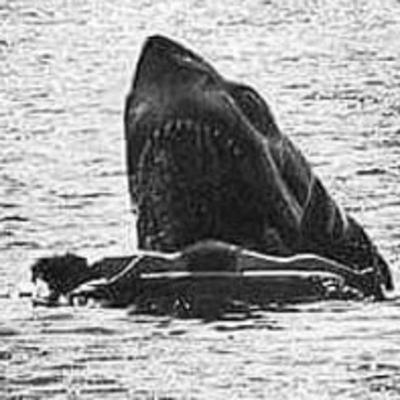 1. Jaws, une révolution cinématographique