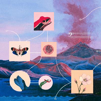 A Special Celebration of the Earth’s Sounds and Songs