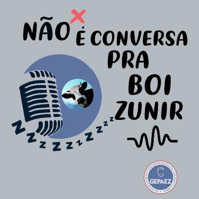 alimentação e suplementação influenciam no zumbido? (com Dra. Lívia Noleto) #Podcast06 alimentação e suplementação influenciam no zumbido? (com Dra. Lívia Noleto) #Podcast06
