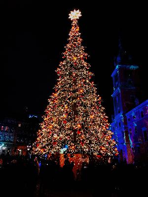 "And, So This Is Christmas! And A Happy New Year!"