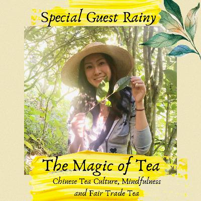 Christian Testimonies | Shari Hogan Christian Testimonies | Shari Hogan