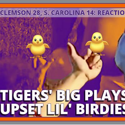 Clemson Punishes South Carolina: Full Game Analysis and What it Means for the Tigers Program