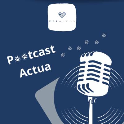 #16 - Pootcast Actua - 12/06/2023 #16 - Pootcast Actua - 12/06/2023