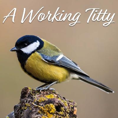 A Working Titty | Black Lincoln Collective Comedy Podcast