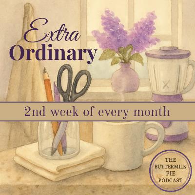 Extra Ordinary: Dish Towel