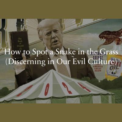 How to Spot a Snake in the Grass (Discerning in Our Evil Culture) How to Spot a Snake in the Grass (Discerning in Our Evil Culture)