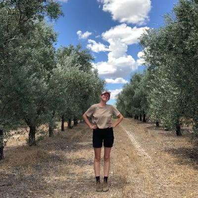 Travailler dans des fermes d'oliviers - L'expérience de Pierrine