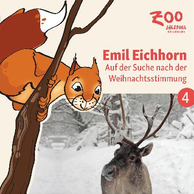 04 - Auf der Suche nach der Weihnachtsstimmung